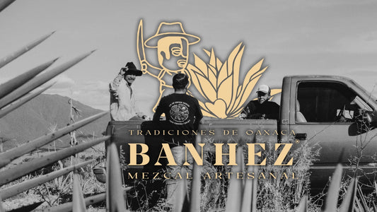Banhez Mezcal: A Community-Driven Journey Through Oaxacan Terroir