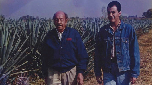 Tapatío Tequila: The Spirit of Jalisco in Its Purest Form