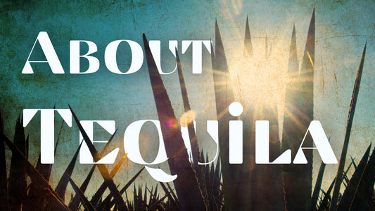 A picture of an agave plant with the text "About Tequila"