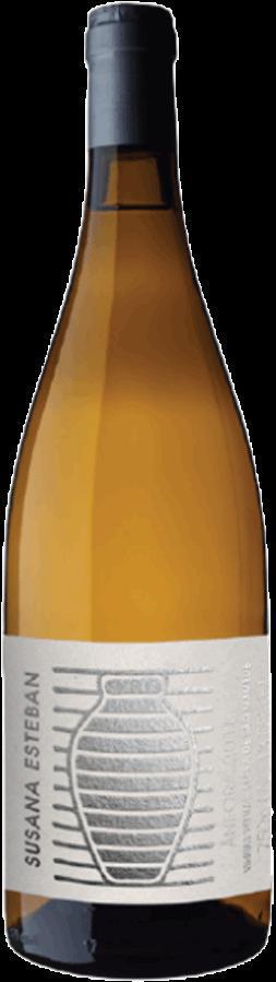 Susana Esteban Procura Anfora 2023