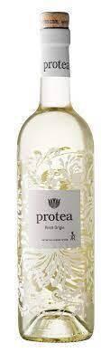 Protea Pinot Grigio 2024