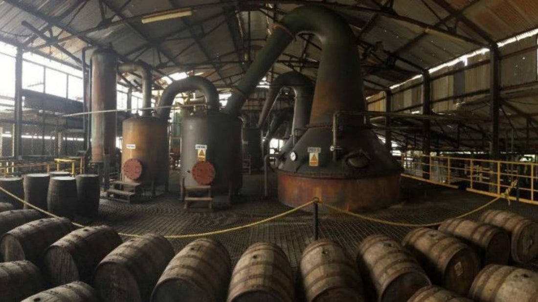 Hampden Estate Rum: A Funk-Forward Icon of Jamaica
