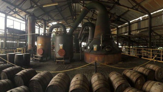 Hampden Estate Rum: A Funk-Forward Icon of Jamaica