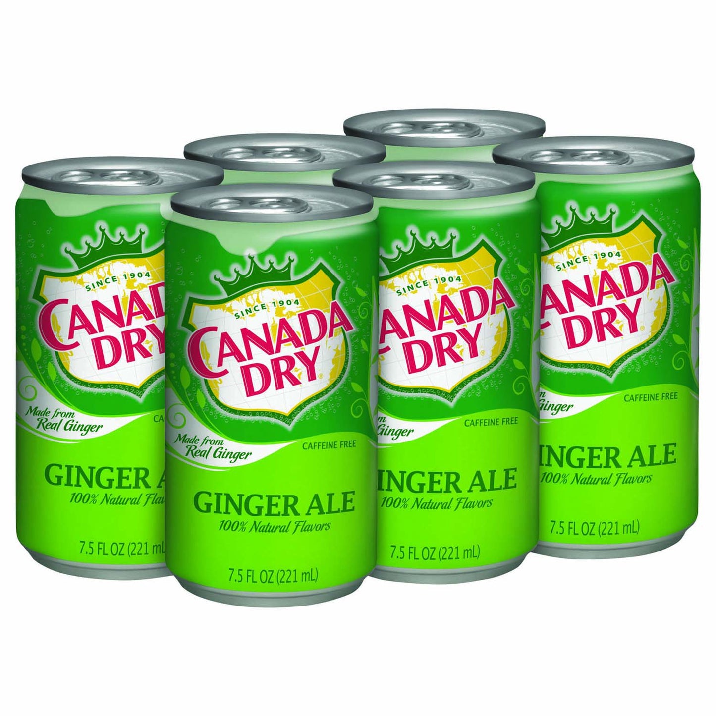 Canada Dry Ginger Ale 6pack