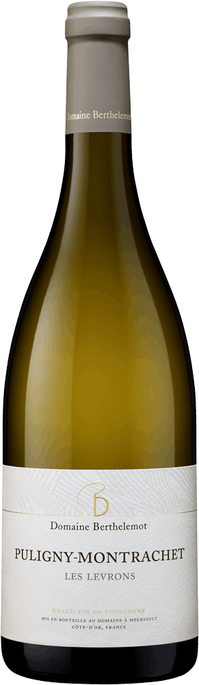 Berthelemot Puligny Montrachet Les Levrons 2023