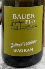 Florian Bauer Gruner Veltliner Wagram 2024