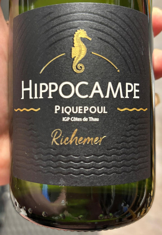 Hippocampe Piquepoul 2025